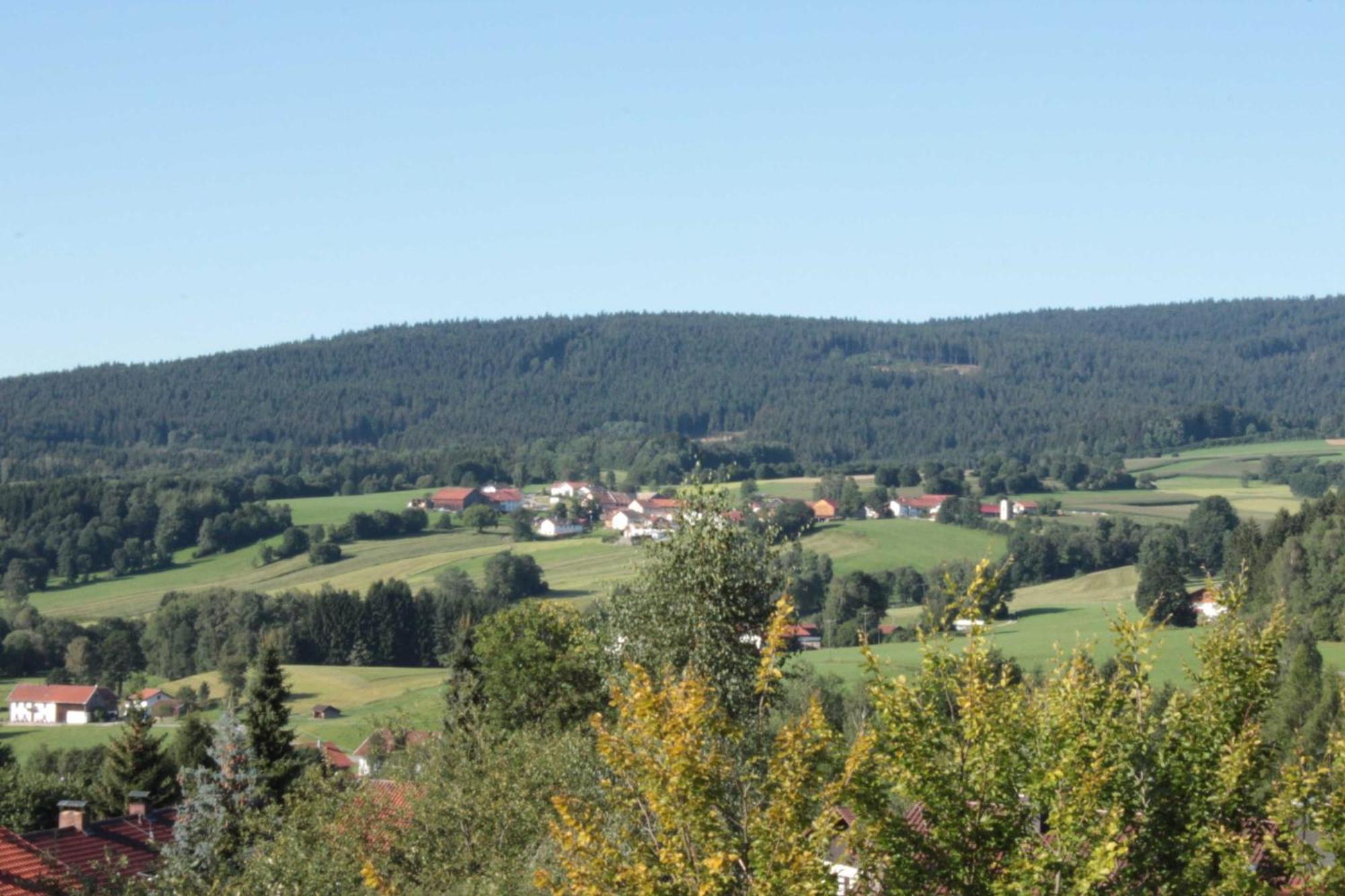 Fewo Mit Malerischem Bergblick Im Bischofsmais Exteriör bild