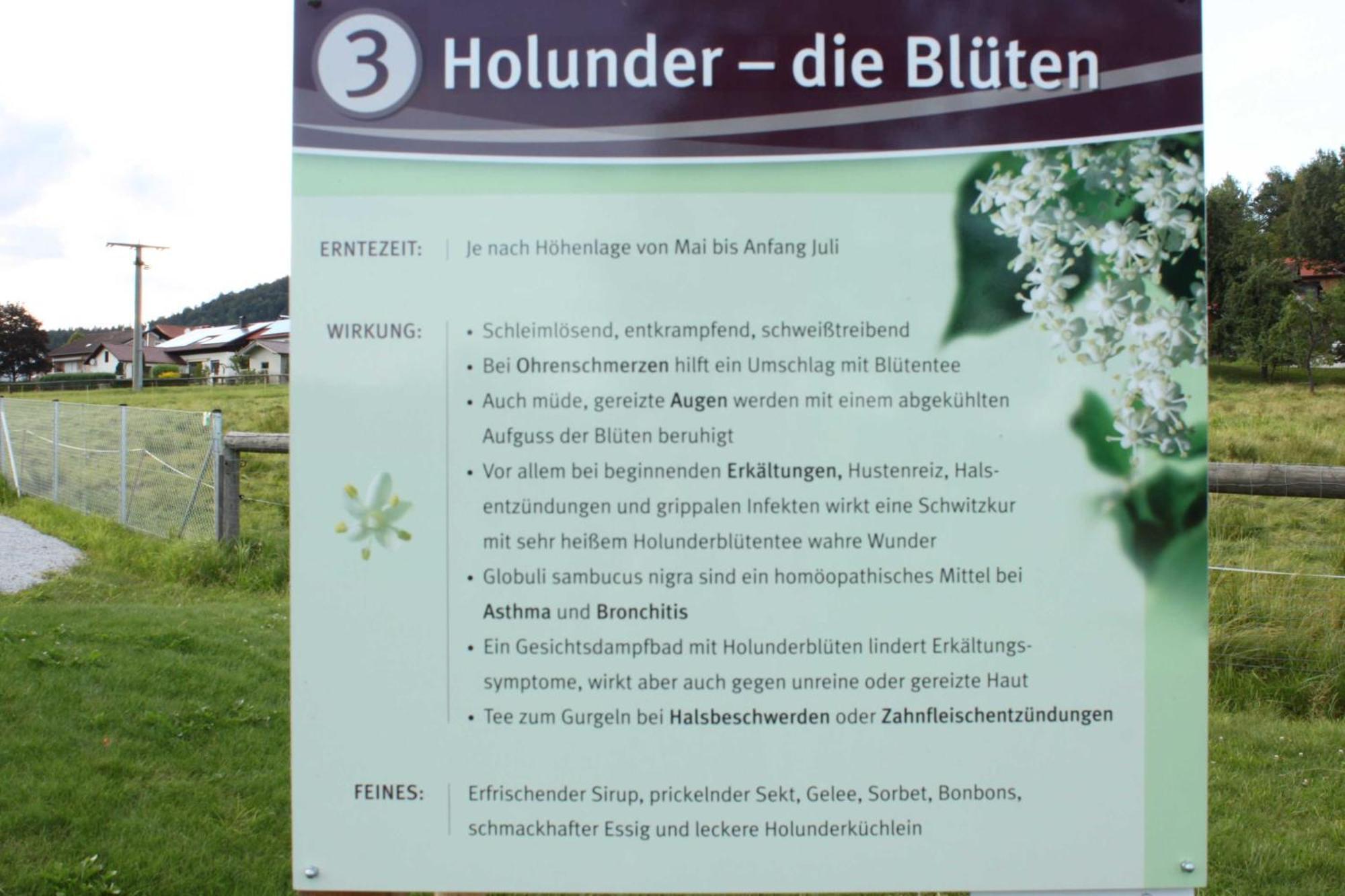 Fewo Mit Malerischem Bergblick Im Bischofsmais Exteriör bild